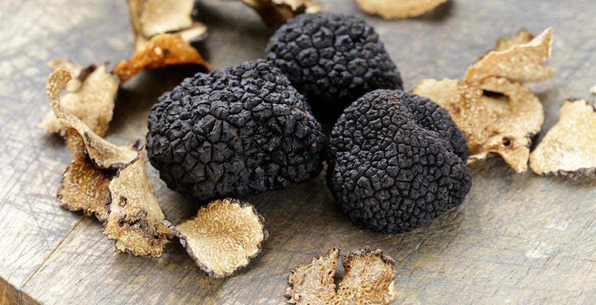 Trüffel auf Samos ▶︎ Schwarze Pilze auf Samos I GREEKCUISINEmagazine