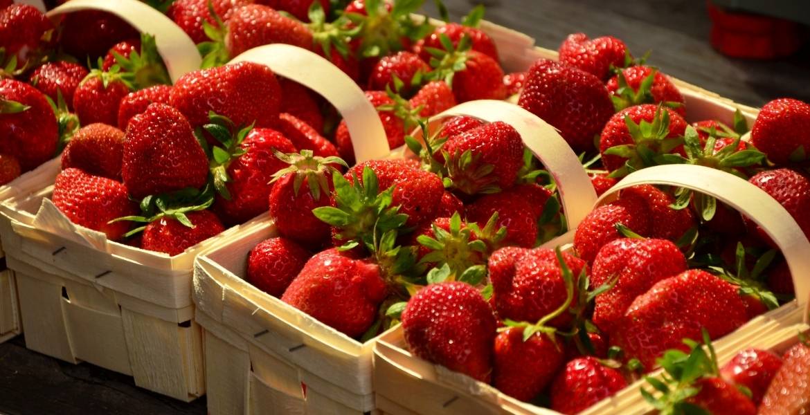 Frische Erdbeeren ▶︎ rote Sommerboten I GREEKCUISINEmagazine