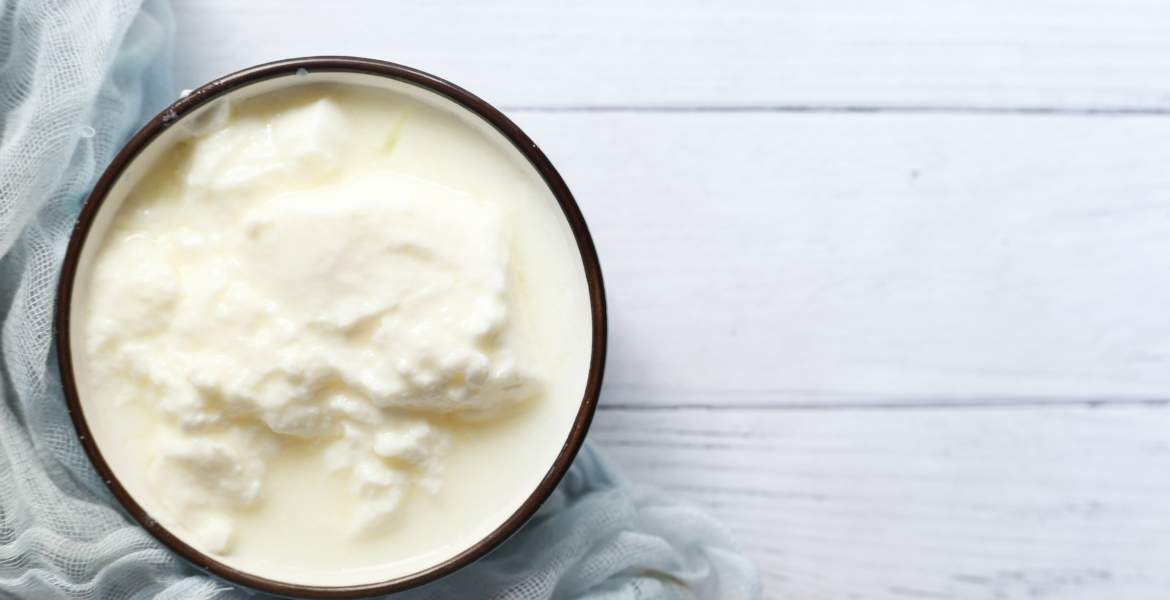 11 beliebtesten Produkte ▶︎ Griechischer Joghurt I GREEKCUISINEmagazine