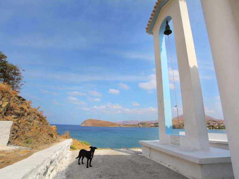 Limnos ▶︎ griechische Insel I GREEKCUISINEmagazine