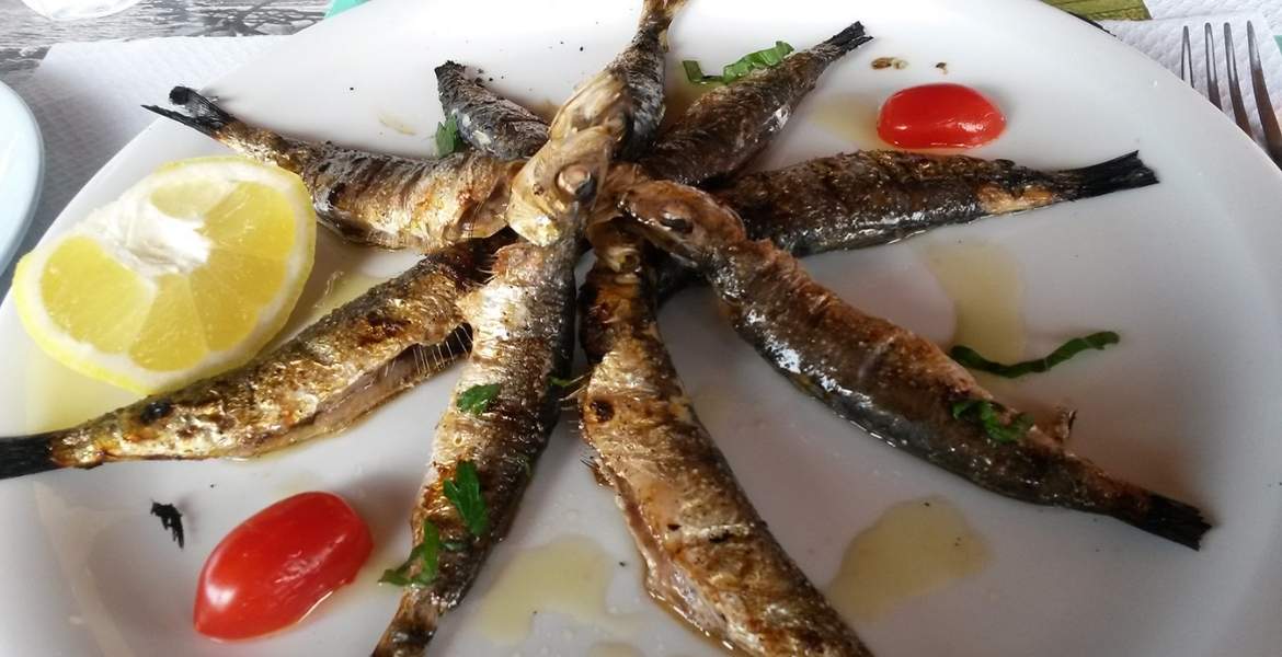Sardinen ▶︎ Frischer gekochter Fisch in Olivenöl I GREEKCUISINEmagazine